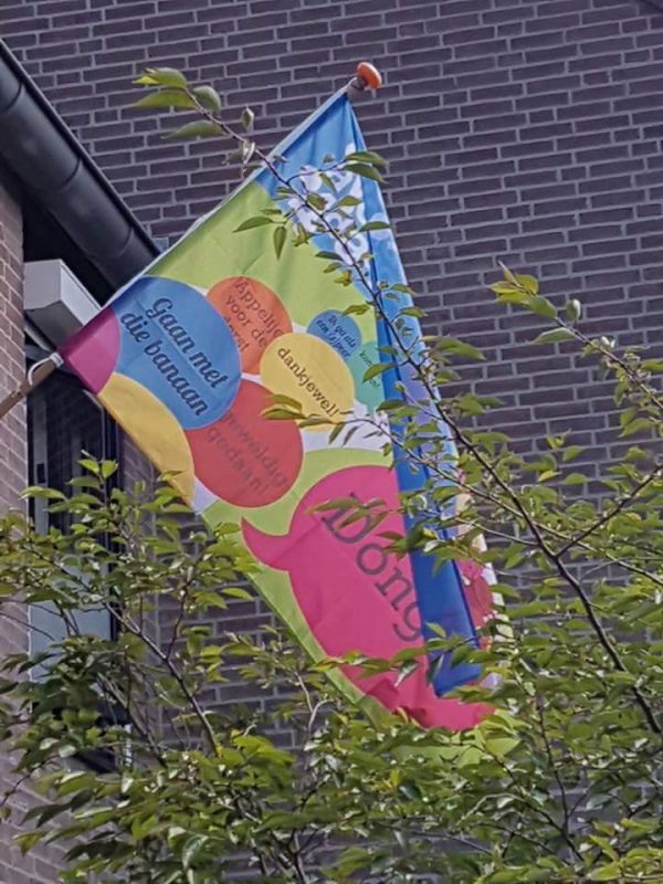 Avond4daagse Dongen vlag - Afbeelding 2